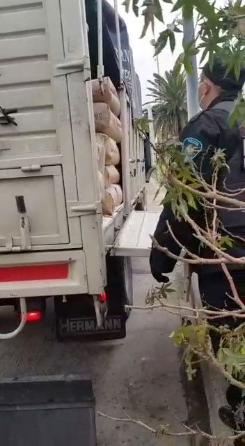 policiales3